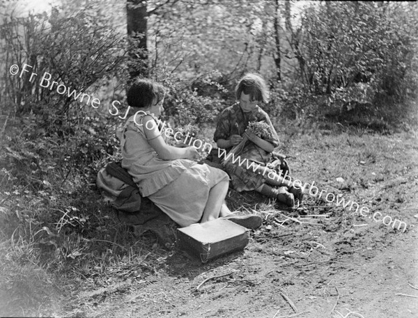 RELAXING IN THE WOODS